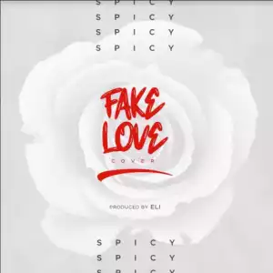 Spicy - Fake Love (Duncan Mighty x Wizkid Cover)